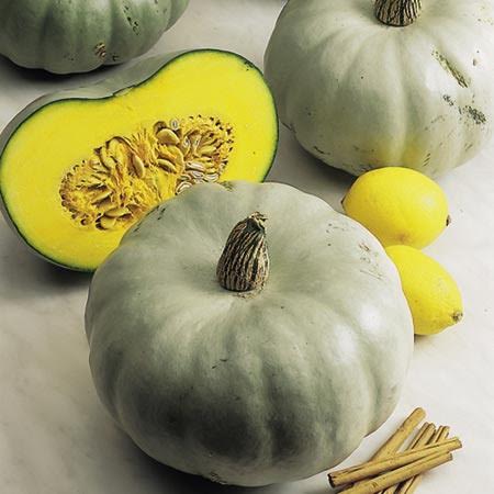 Les Courges Les Plus Gouteuses Blog Jardin